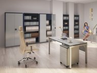 Universal - Schrank SBM 402 M 465 x 800 x 435 mm - 3