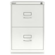 Registraturschrank Bisley 2FE - 10
