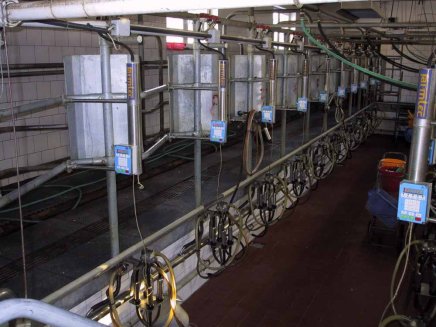 Schwerlastplatte 102 - 5