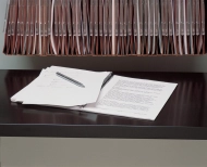 Fachboden BIC08DRSPS, ausziehbar