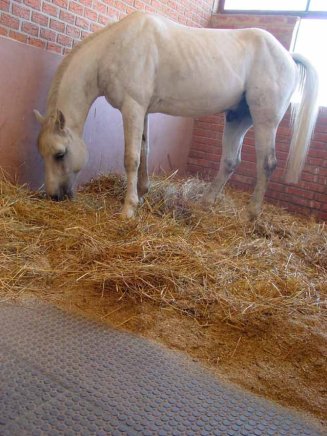 Fußbodenplatte 115, für Innen - 6