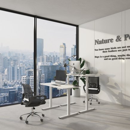 Höhenverstellbarer Bürotisch  FQ2_WW - 3