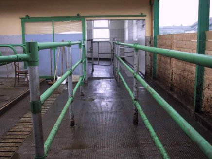 Stall-Bodenplatte 111, klein - 9